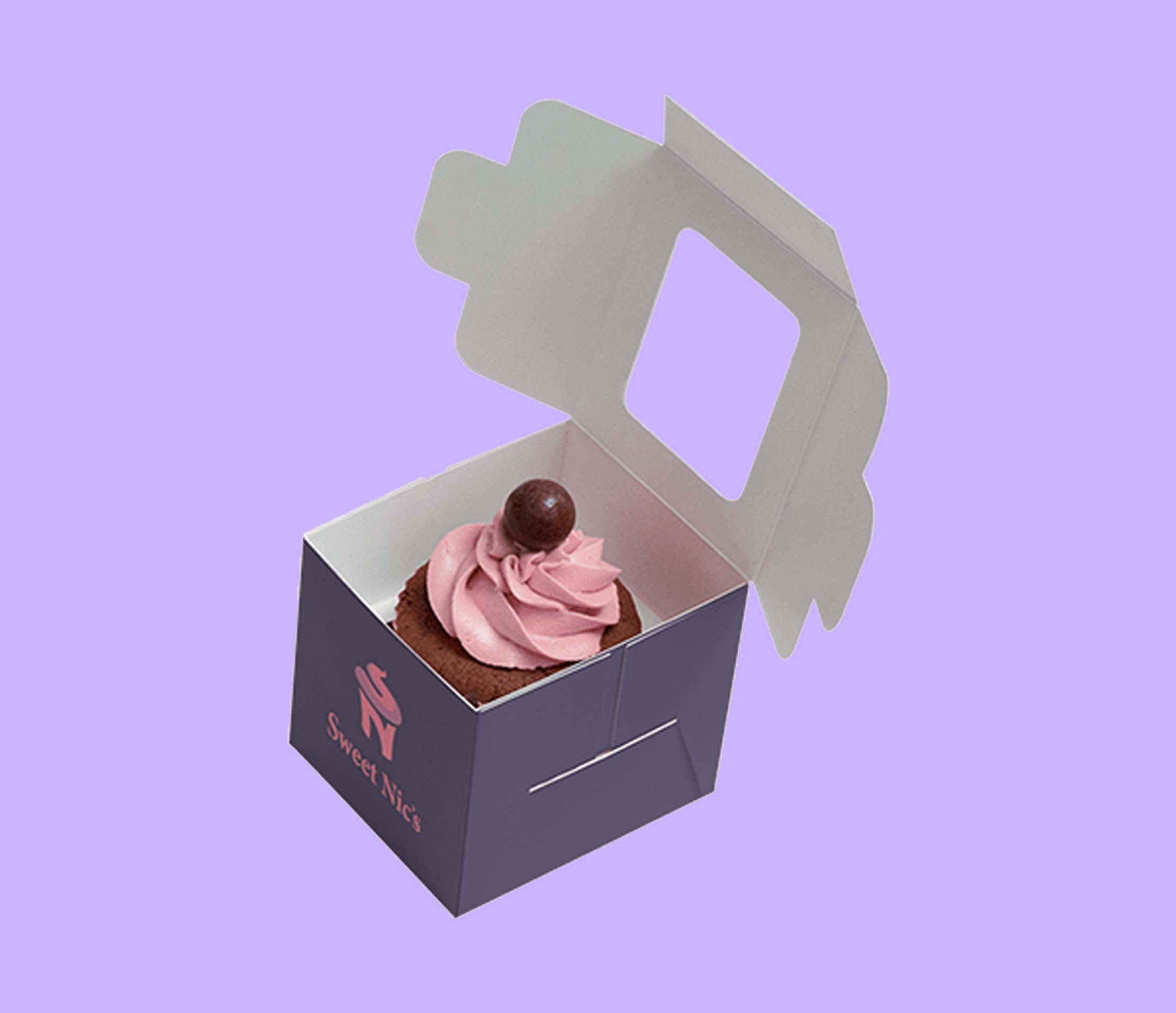 Individual Cupcake Boxes 