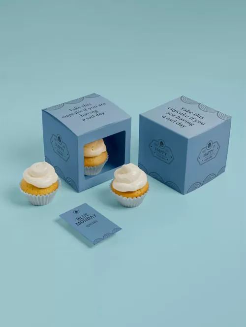 Individual-cupcake-boxes