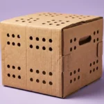 Chick Boxes