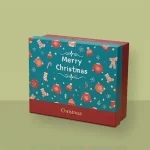 Christmas Apparel Packaging