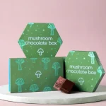 Mushroom Chocolate Bar Boxes