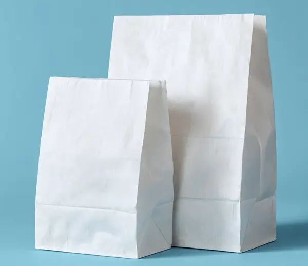 Packaging Paper Lunch Bags